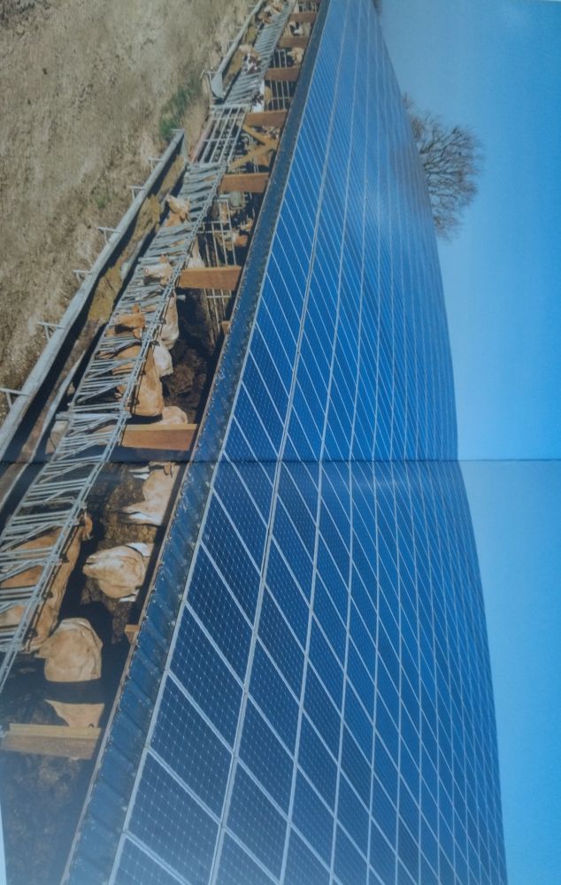 Solar Panel Fiyatları